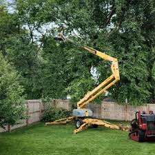 Best Tree Health Inspection  in Aquebogue, NY